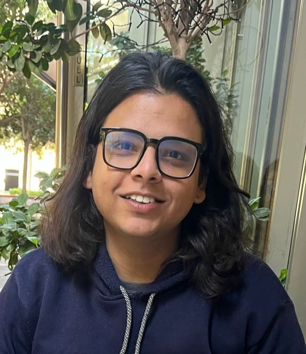 Ritwik Chakravarty